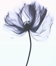 yuvalna_artistic_motion_blurred_black_an