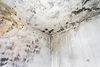 fungal-mold-on-an-interior-wall-2026-01-07-06-39-10-utc.jpg