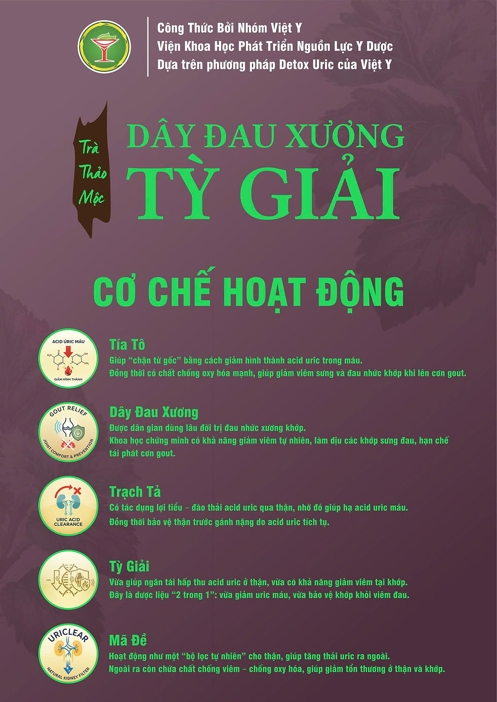 Thumbnail: Pain relief vine - Applying the remedy "Detox Uric Viet Y"