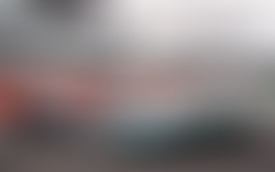 INTRODUCING THE VANTAGE F1 EDITION