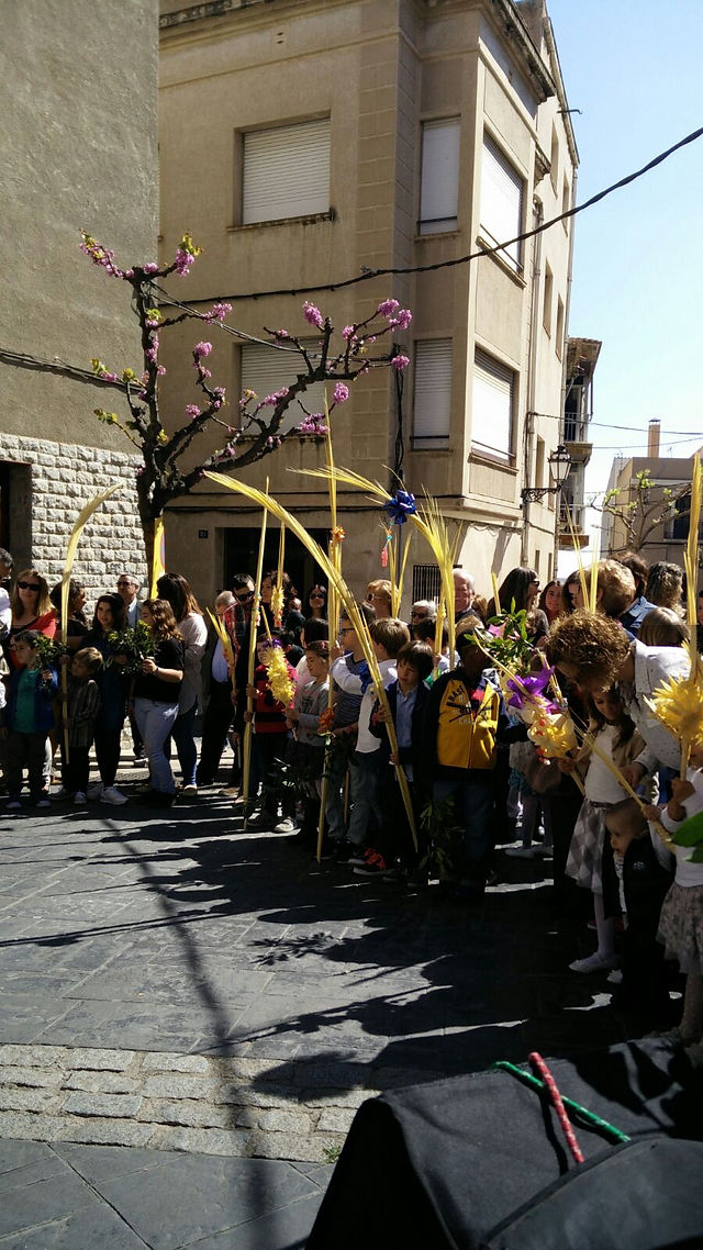Benedicció dels Rams