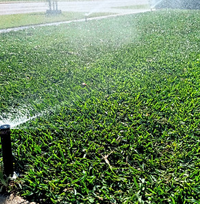 Automatic reticulation system installation in Perth