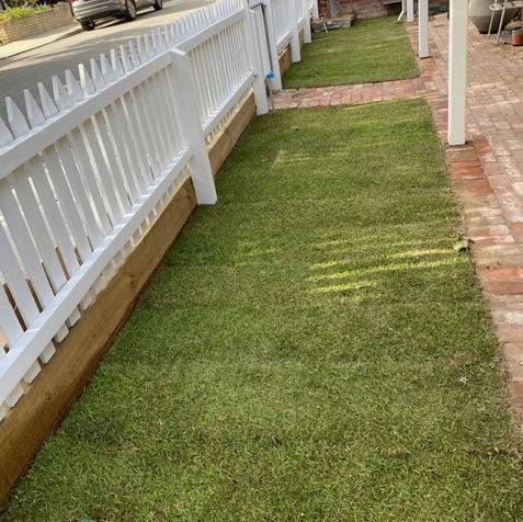 Reticulation system and lawn installation