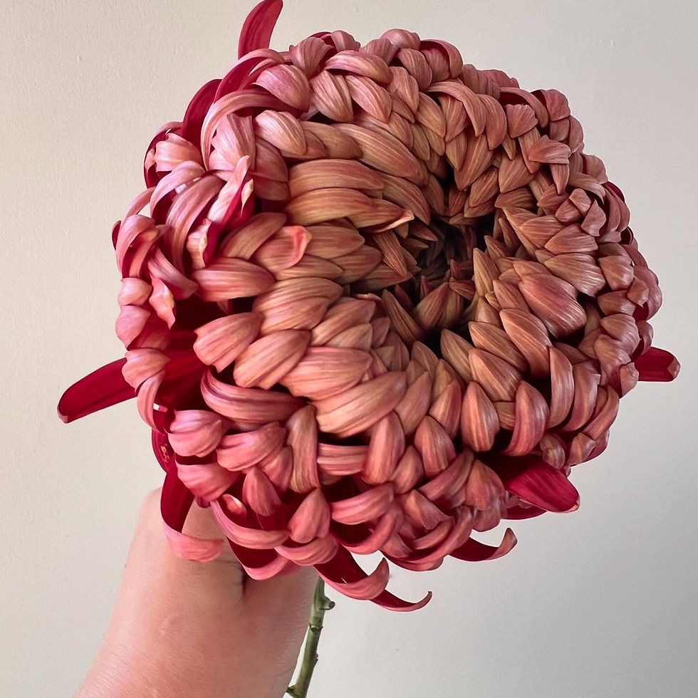 Thumbnail: Red Lord Kitchener