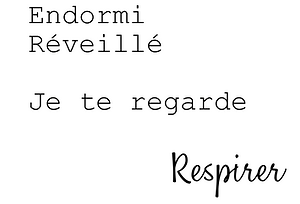 Image d'un texte d'Estelle Borgeat