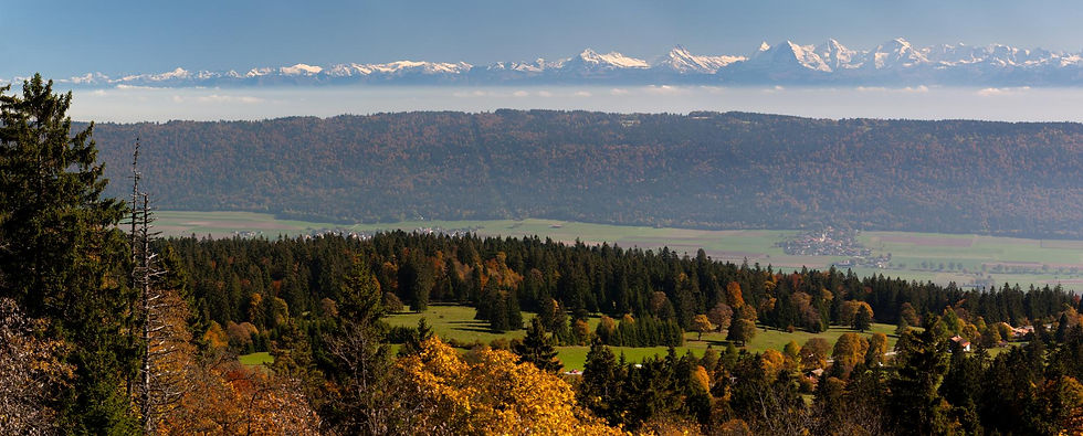 Balade et échange inspirant - La Vue-des-Alpes (NE) 