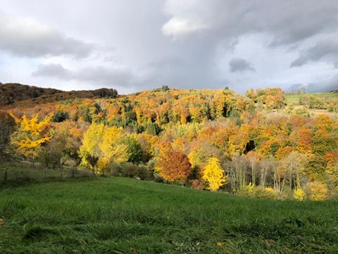 Retour sur notre journée à l'Arboretum