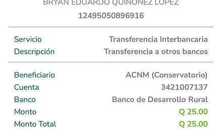 Ejemplo Boleta.jpg