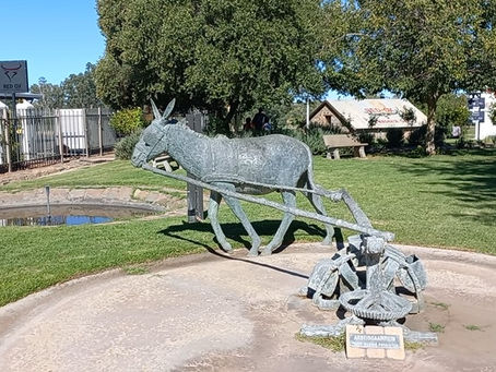 A Tribute to the Donkey: Visiting the Kalahari-Oranje Museum in Upington