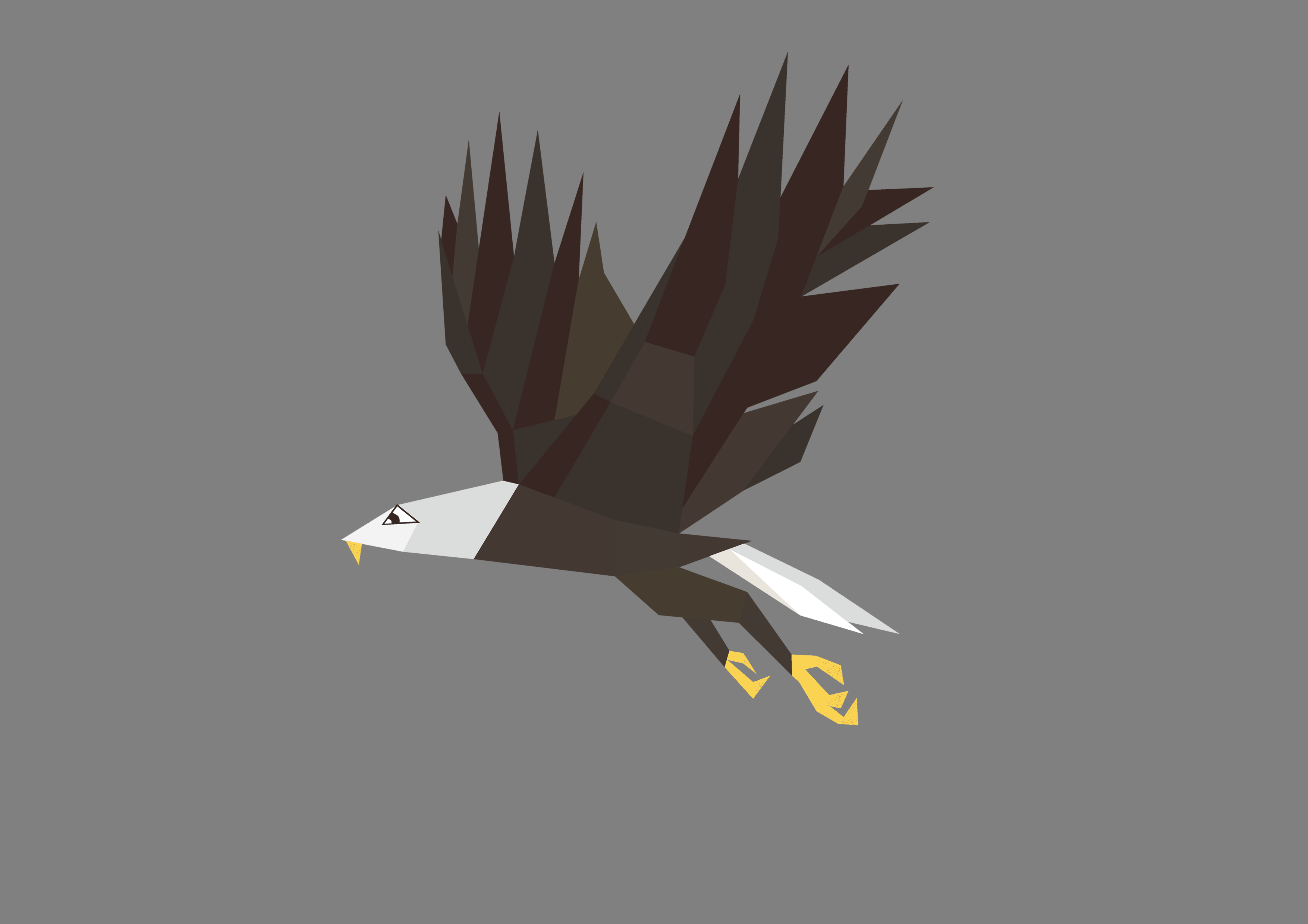 Eagle-Flying-Cycle