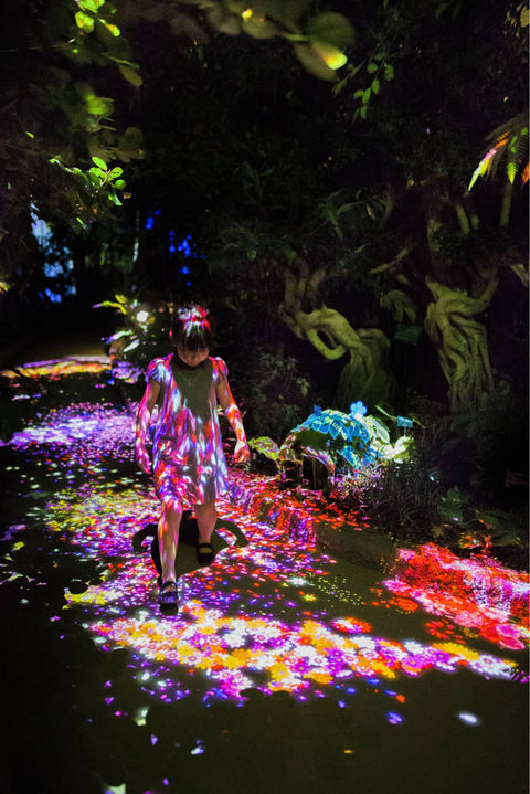 Living Things of Flowers, Symbiotic Lives in the Botanical Garden _ teamLab.jpeg