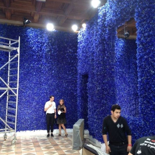 Flower wall Dior debut Raf Simons.jpeg