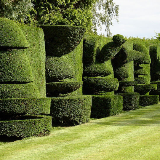 Top 20 Sculptural Topiaries - 1001 Gardens.jpeg