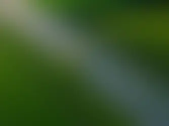 TAİD: Ağır Ticari Araç Pazarı, 2025’in ilk 9 ayında dengeli bir seyir izliyor