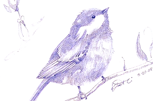 little%2520bird%2520no%2520beak_edited_e
