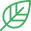 leaf (3).png