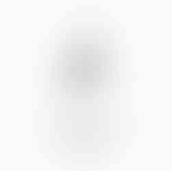 Skulpturaler Spiegel goldener Rahmen 59x47cm