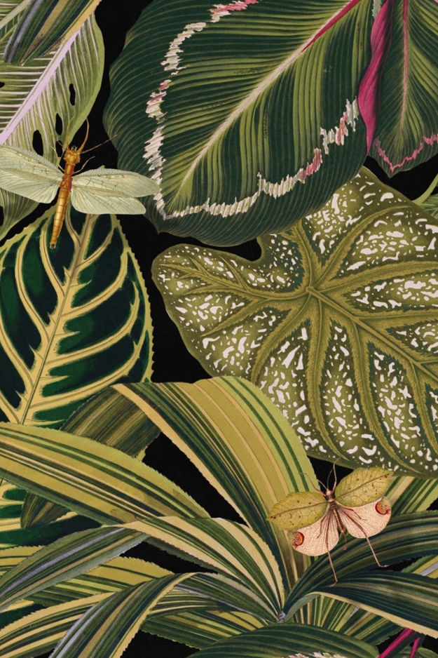 Exotische Vliestapete im grünen Dschungelprint auf einem schwarzen Hintergrund