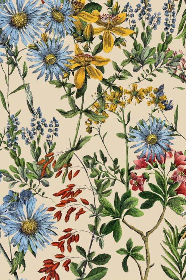Wandtapete im englischen Stil mit Vintage-Illustrationen von Blumen auf einem cremefarbenen Untergrund