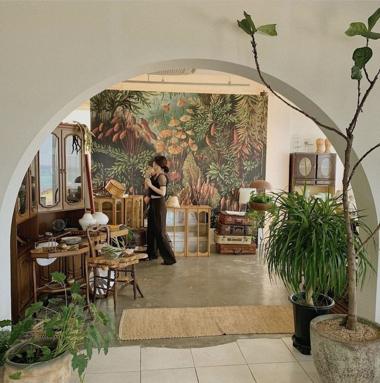 Zimmerpflanzen in einem Wohnzimmer