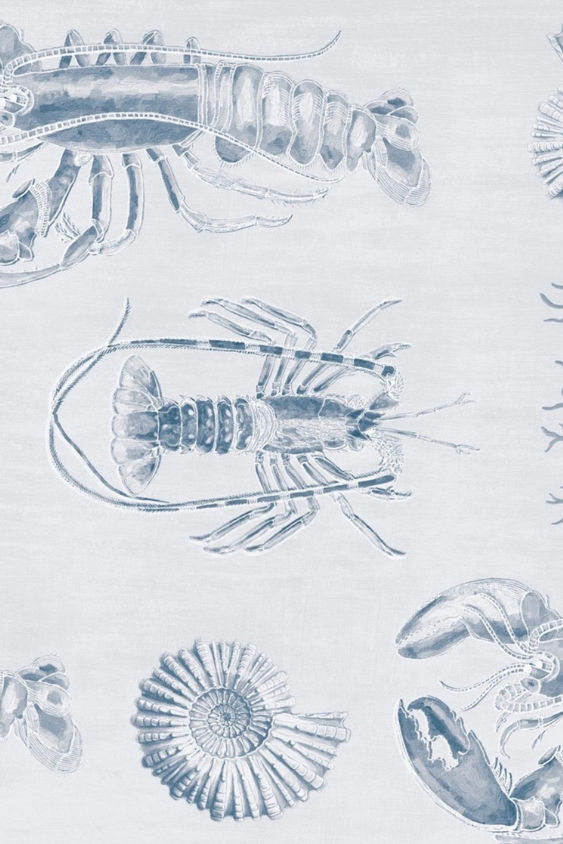 Vliestapete im Maritime-Stil im Vintage-Zeichnungen von Hummern & Meeresmuscheln auf einem weißen Untergrund.