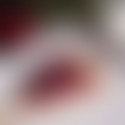 Cranberrytraum: Ein festlicher Kuchen für Weihnachten