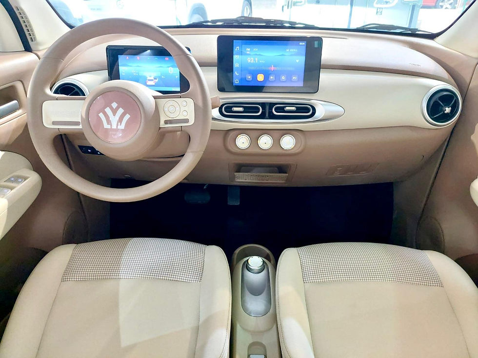 Miniatura: MCROWN MINI EV4