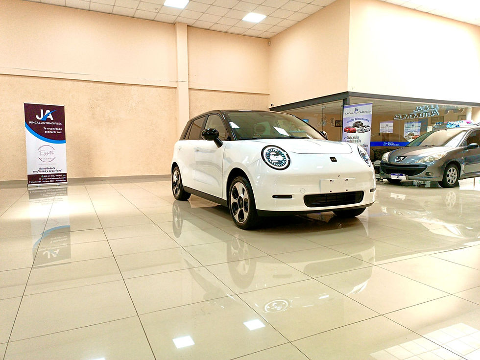 Miniatura: JAC Ytterby - 100% eléctrico