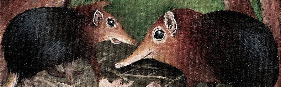 SniffyTheShrewHdr.jpg
