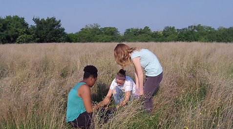 100_0071.JPG
