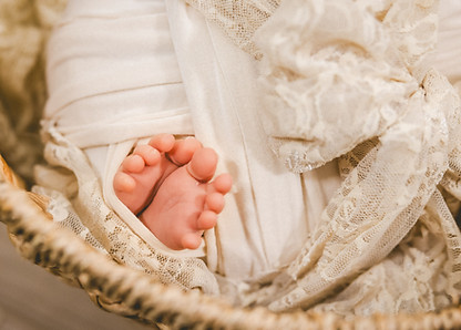 Nest-Hawaii-Newborn-Photographer-4.jpg