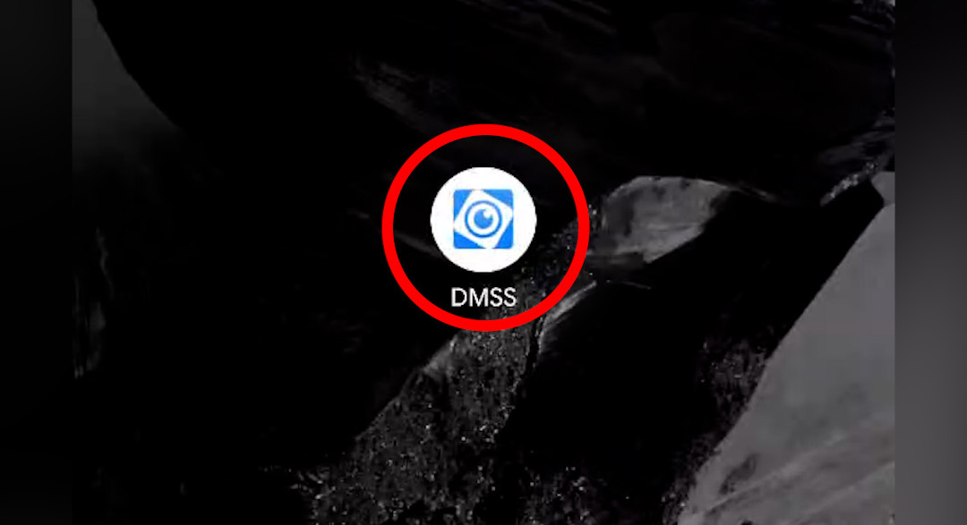 Step 1 – Open the DMSS App