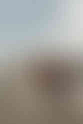 bride and groom in front of new york city skyline