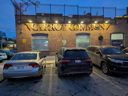 Murals By Marg_Carrot Common 1_2025