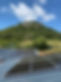 IMG_4448.jpeg