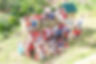 The Children's House Seychelles group photo