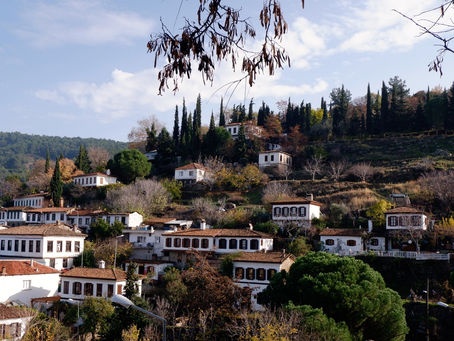 Bir Günde Efes/Selçuk