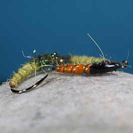 GTI Caddis Varriation.jpg