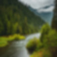 rainy landscape image of a river surrounded by trees with mountains in Washington state.jp