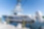 Costa-boat.jpeg