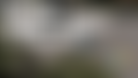 Reinigung und Pflege von Außenanlagen: Den ersten Eindruck verbessern