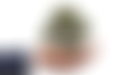 Nachhaltige Gebäudereinigung bei Cleansmann: Für eine saubere und grüne Zukunft