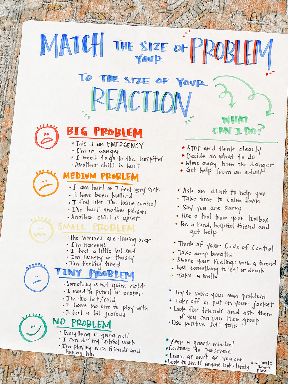 Size of the Problem Anchor Chart