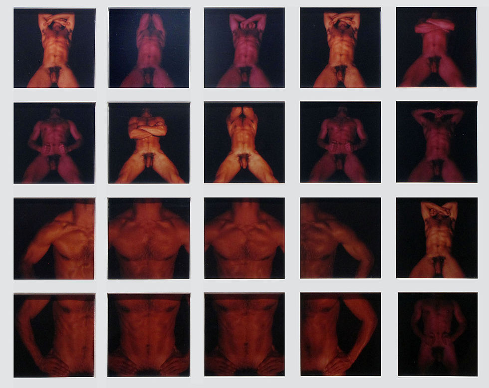Signals of an Ephebe, detail, upper right and center (1983)