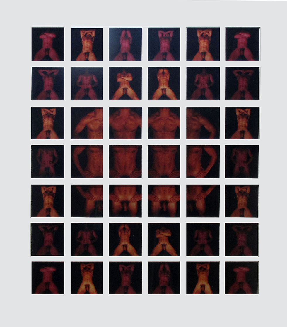 Signals of an Ephebe, installation study for Der Wilde Mann Series (1983)