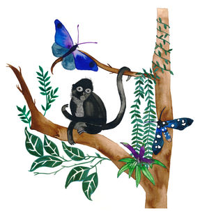 Jimmy Spider monkey copy.jpg