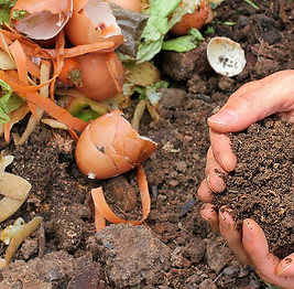 Composting.jpeg