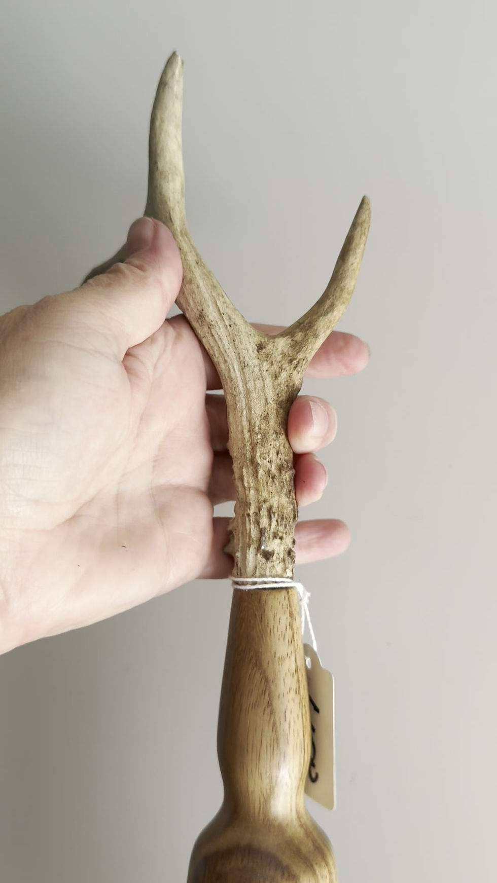 Thumbnail: Antler Flogger -Inchcailloch