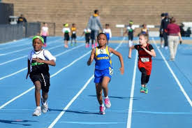 Bears Track