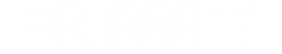 ECHOSOFT2.png